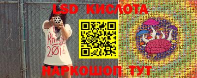 гидра Боровичи