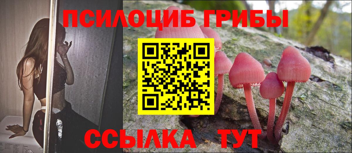 Галлюциногенные грибы Magic Shrooms Россошь