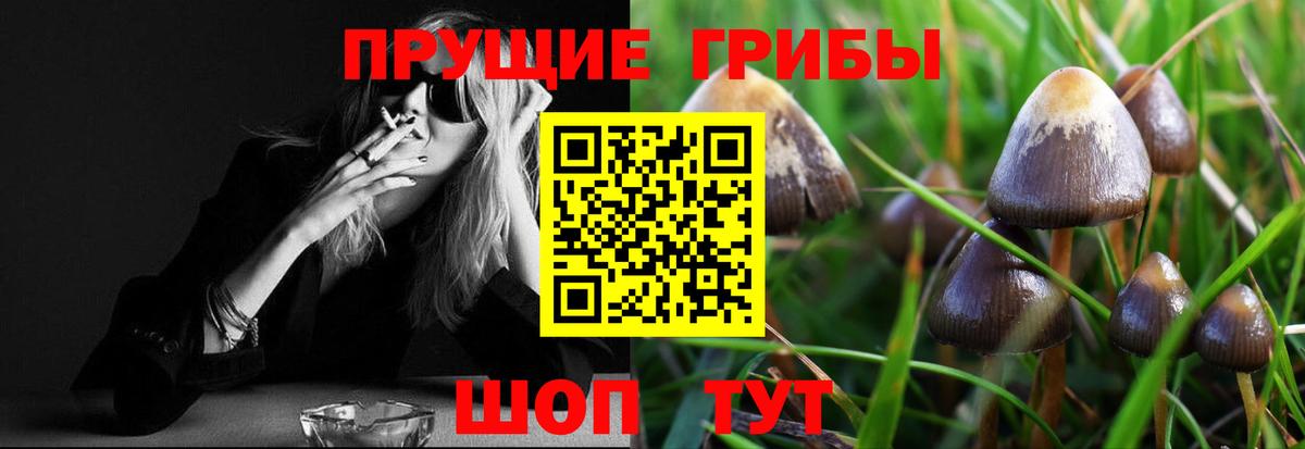 как найти наркотики  Псилоцибиновые грибы ЛСД  Вход с VPN  Россошь 